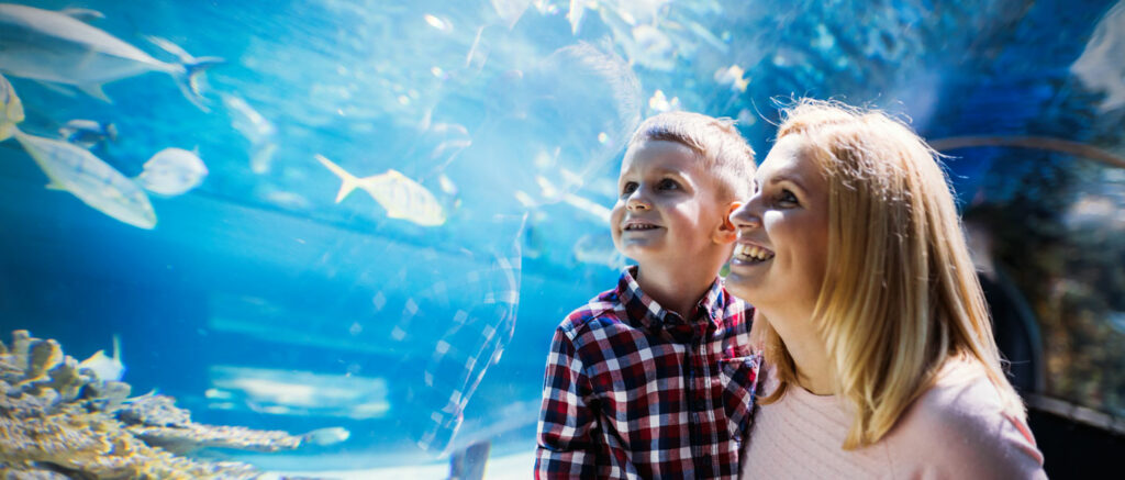 mother and son looking at fish